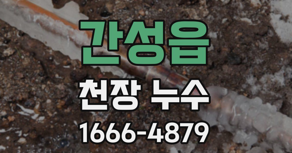 간성읍 천장 누수