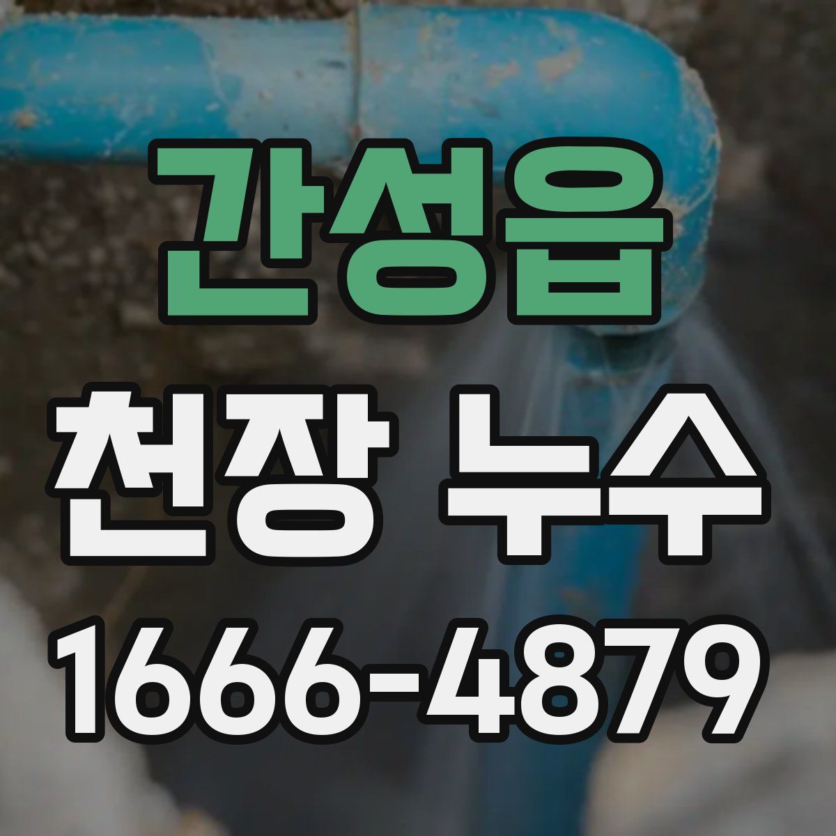 간성읍 천장 누수