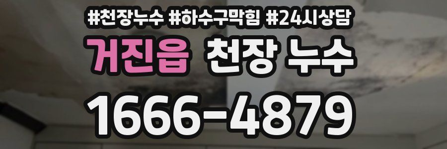 거진읍 천장 누수