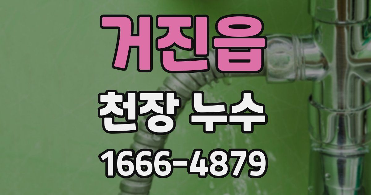 거진읍 천장 누수