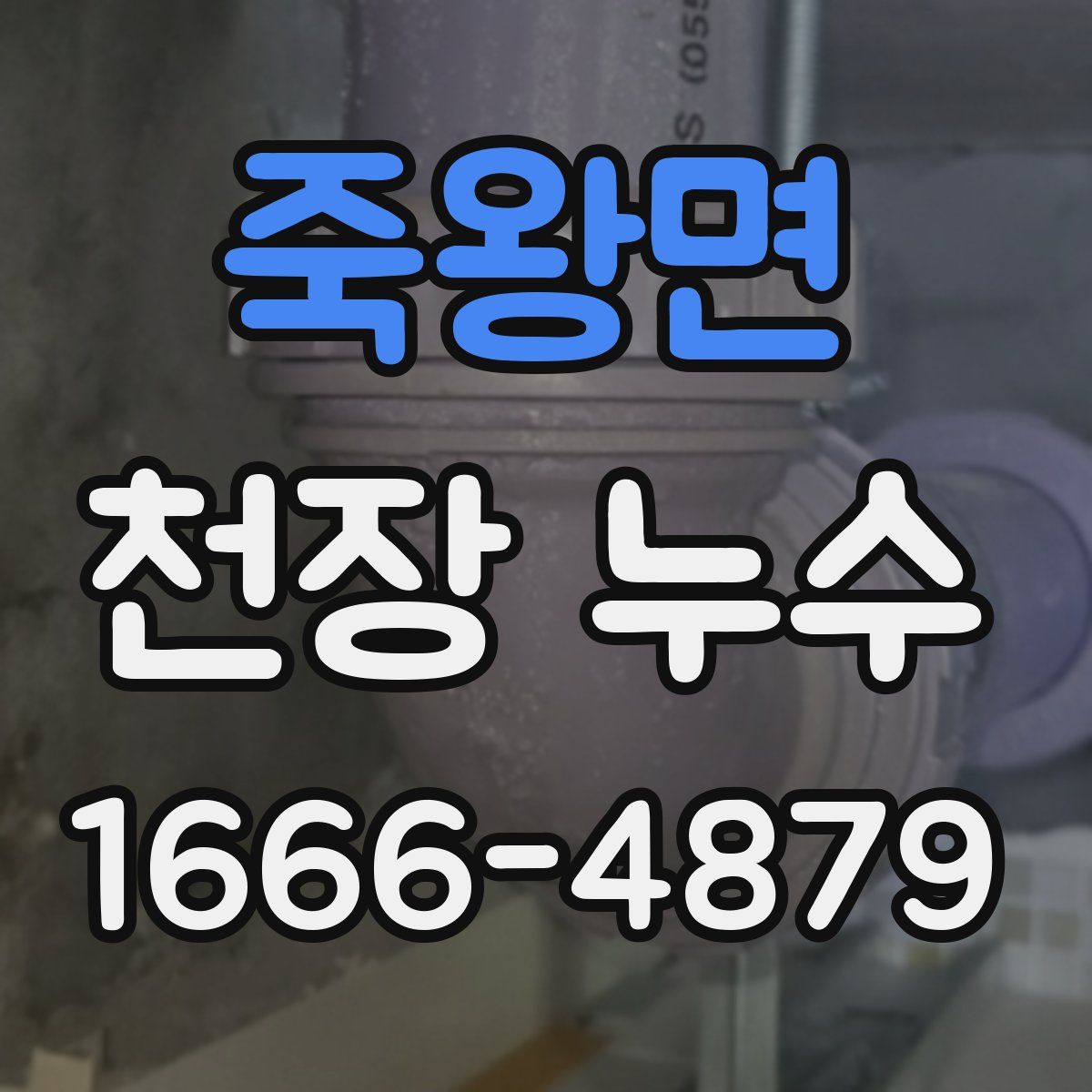 죽왕면 천장 누수