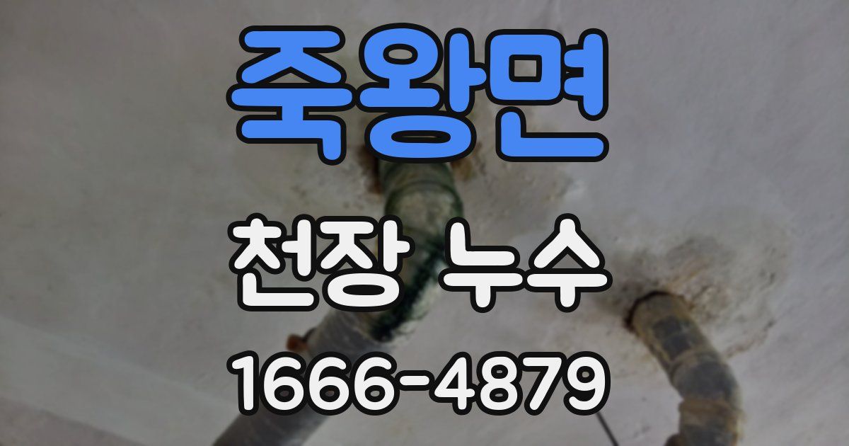 죽왕면 천장 누수