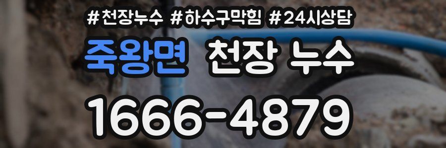 죽왕면 천장 누수