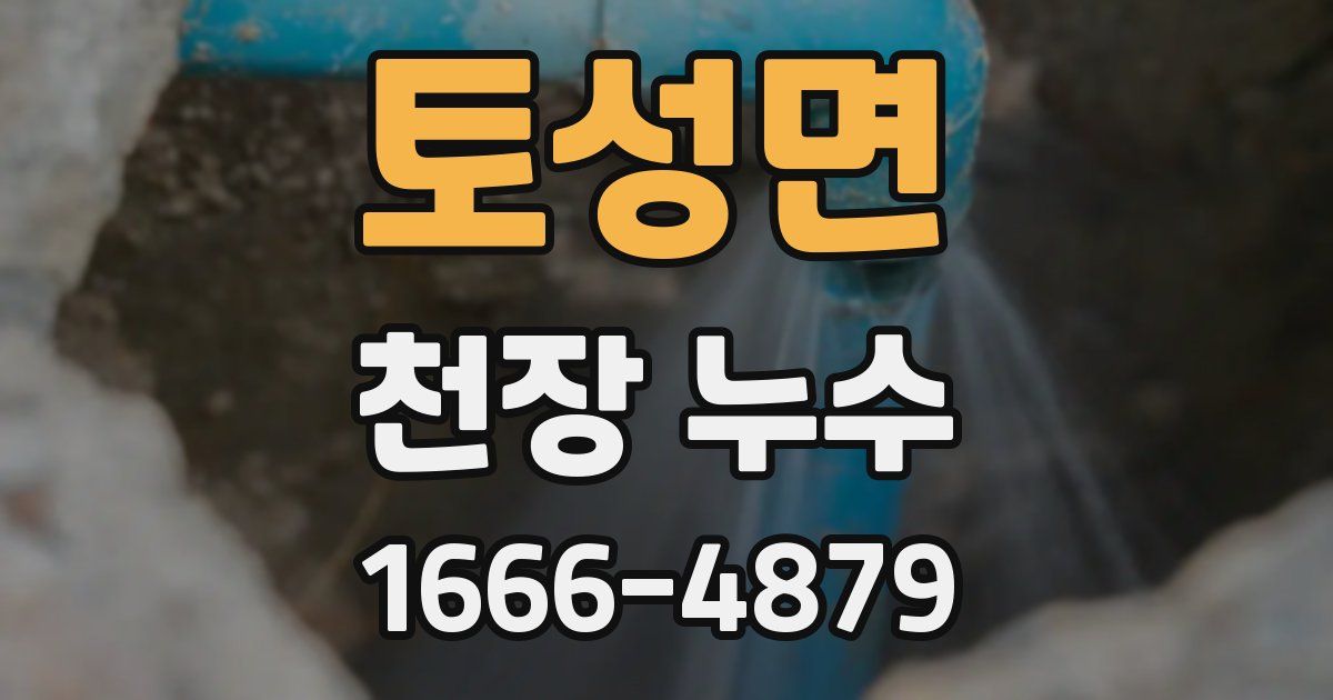 토성면 천장 누수