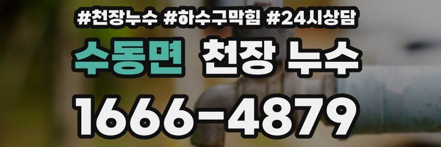 수동면 천장 누수