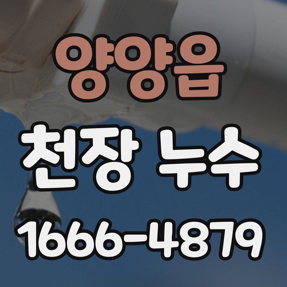 양양읍 천장 누수