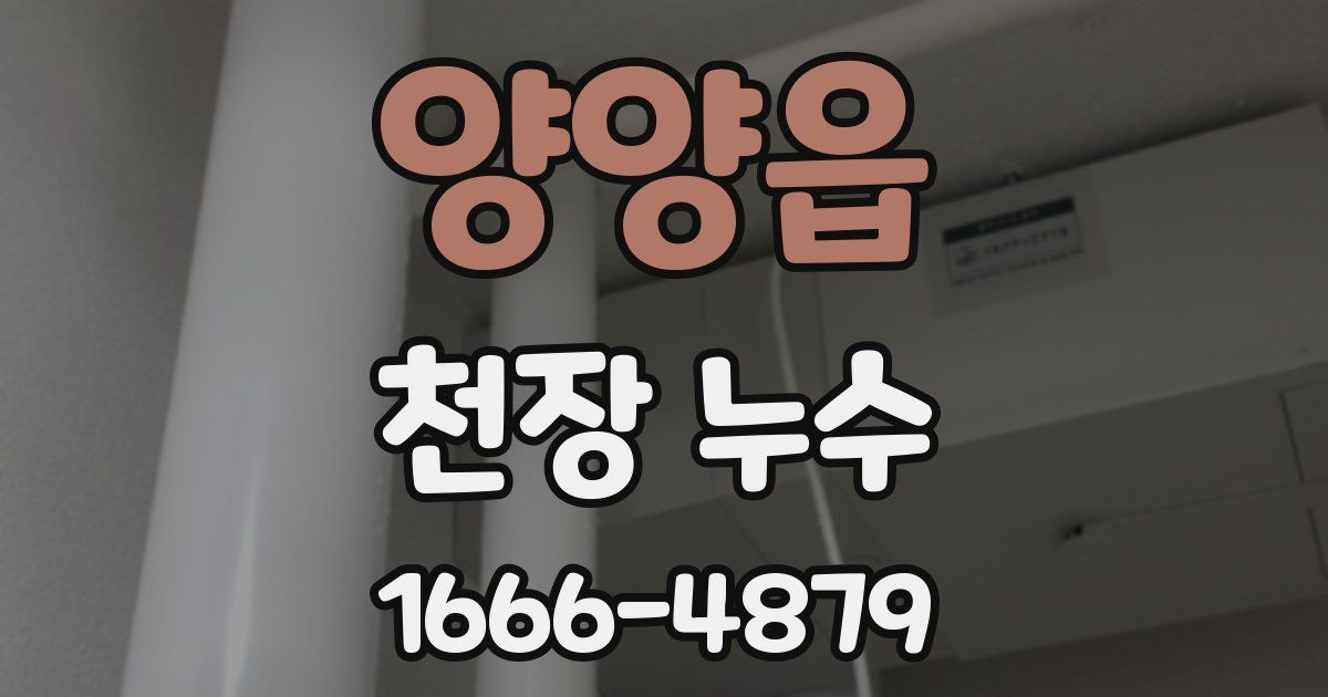 양양읍 천장 누수