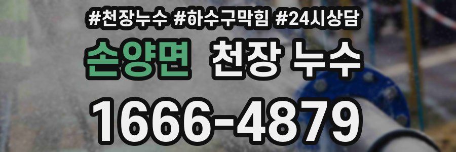 손양면 천장 누수