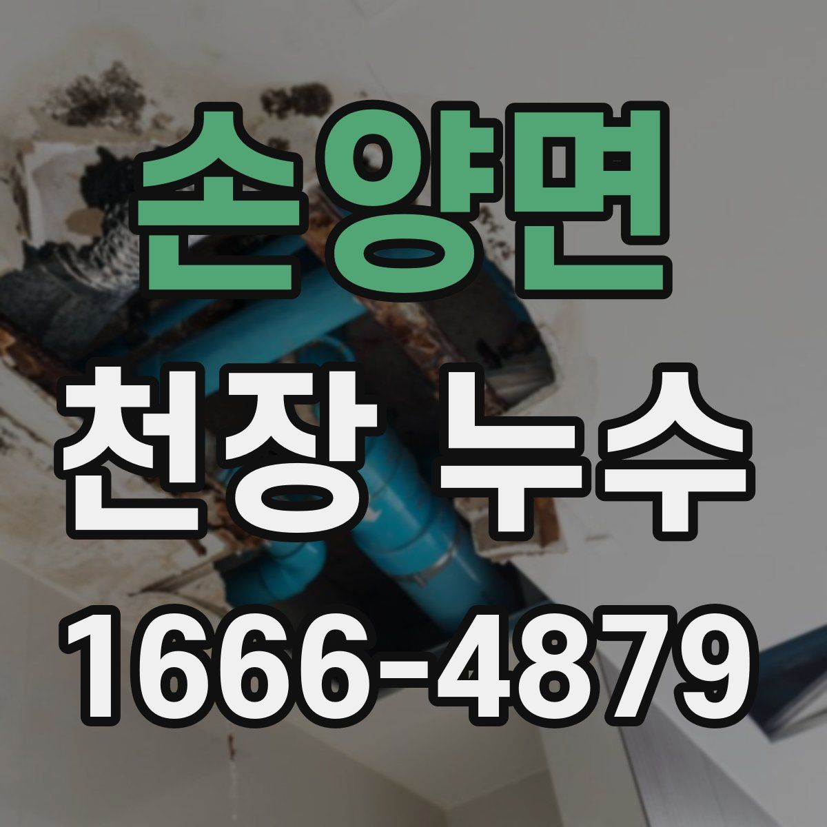 손양면 천장 누수