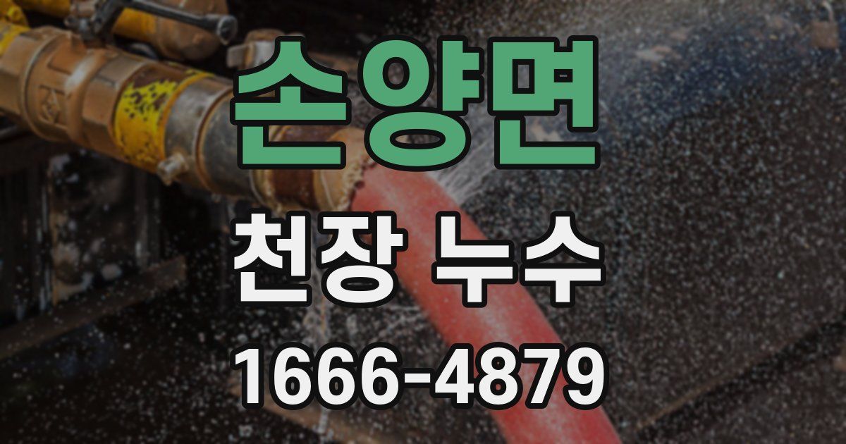 손양면 천장 누수