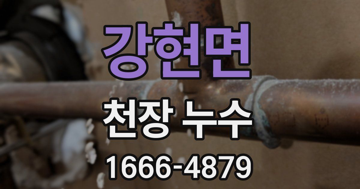 강현면 천장 누수