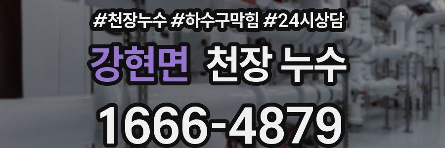 강현면 천장 누수