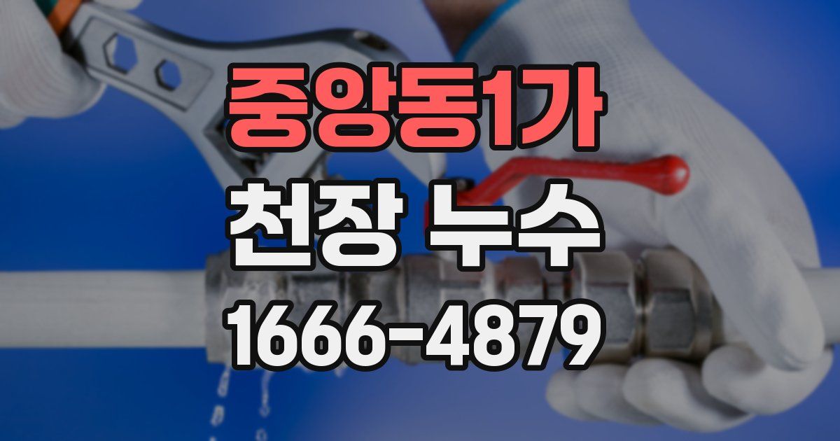 중앙동1가 천장 누수