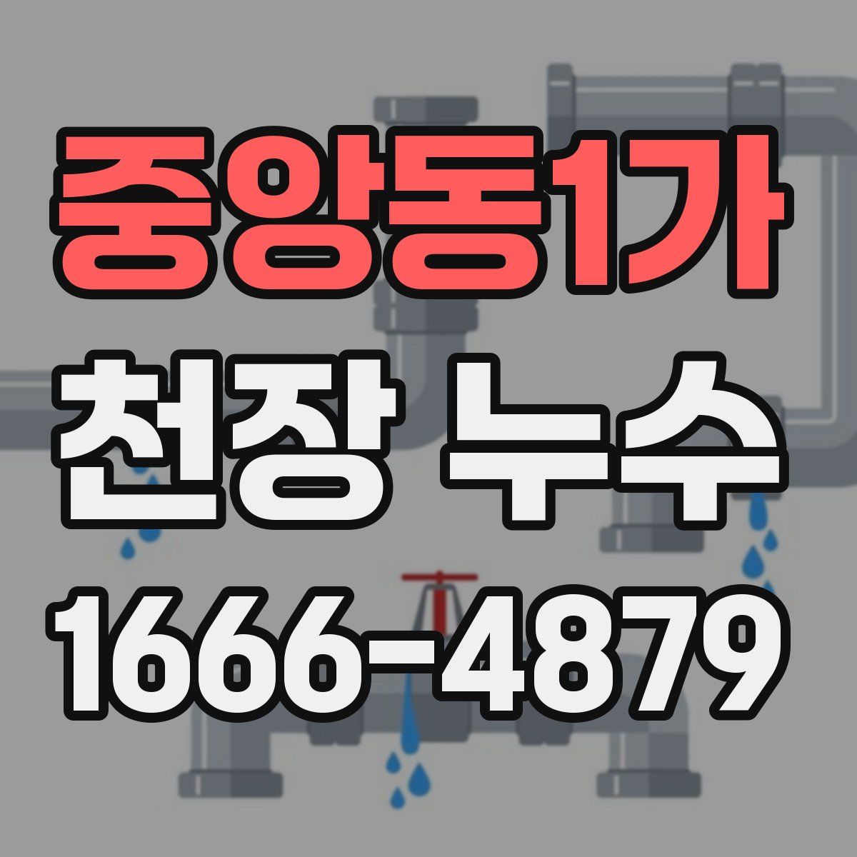 중앙동1가 천장 누수
