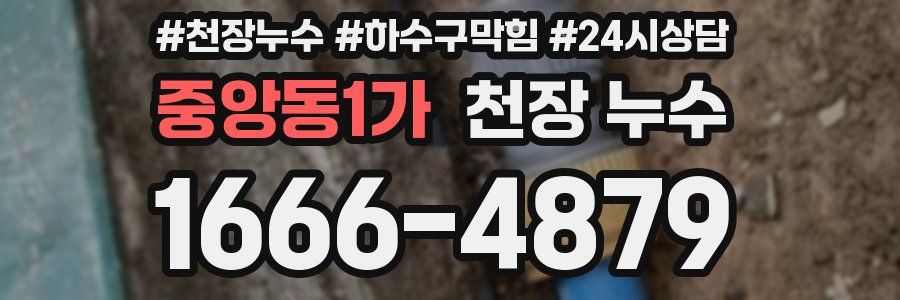 중앙동1가 천장 누수