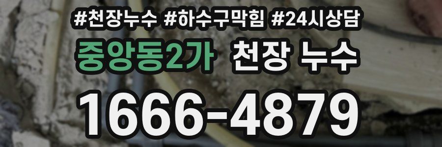 중앙동2가 천장 누수