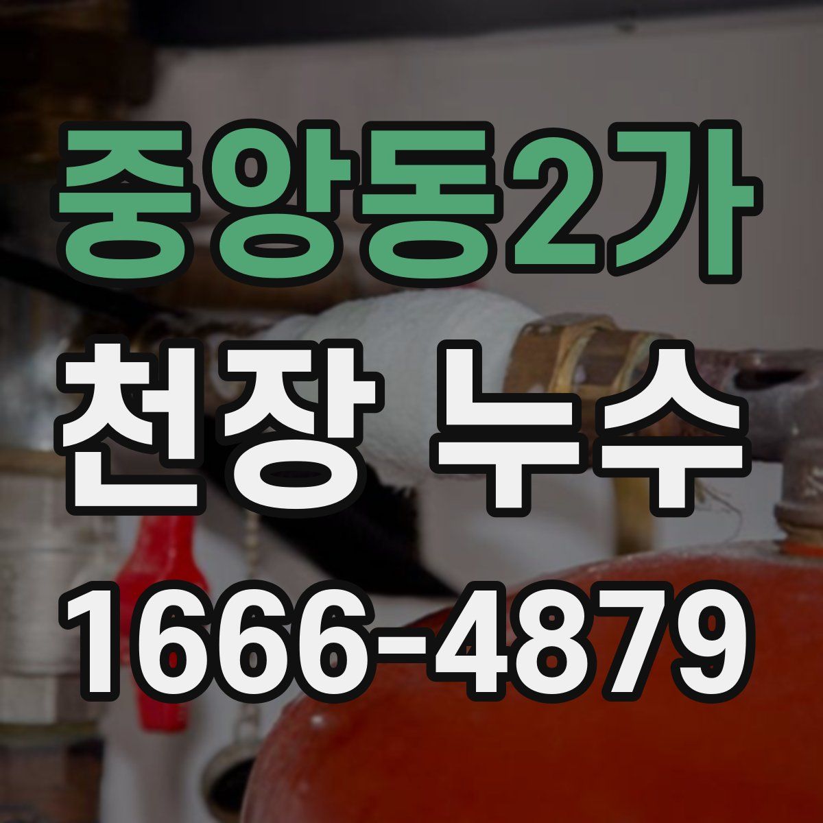 중앙동2가 천장 누수