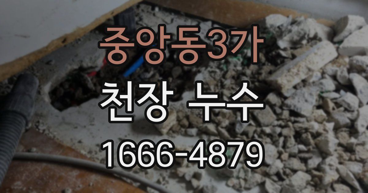 중앙동3가 천장 누수