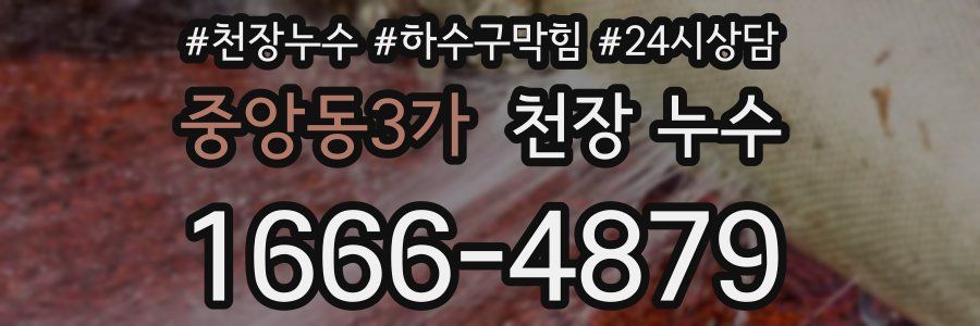 중앙동3가 천장 누수