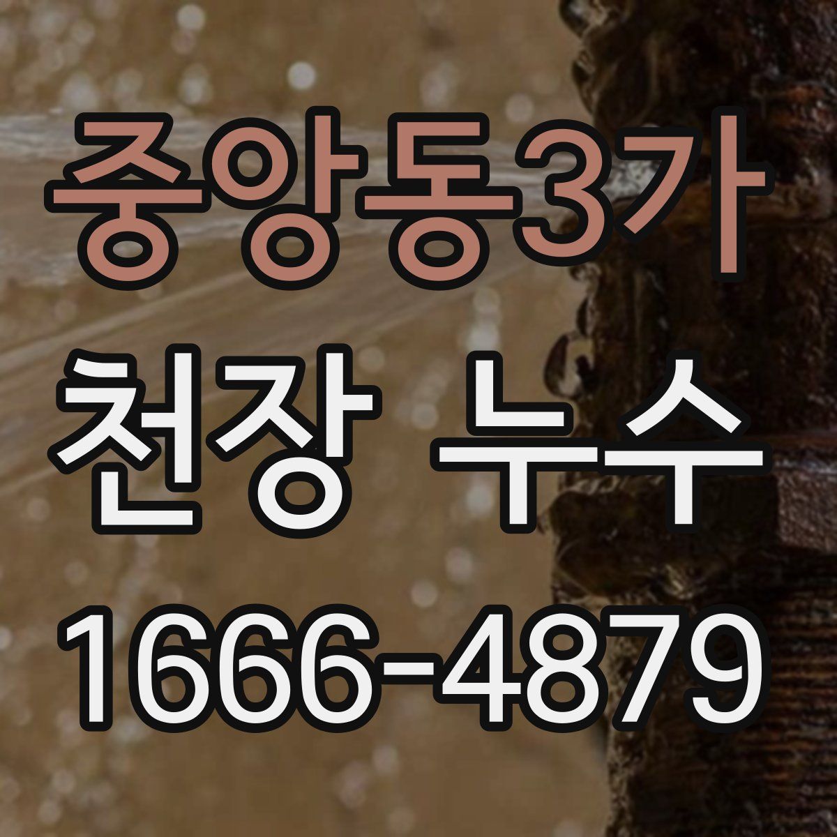 중앙동3가 천장 누수