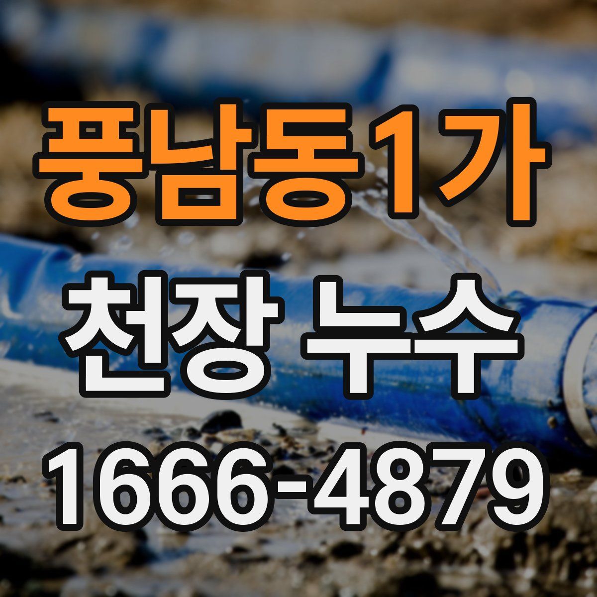 풍남동1가 천장 누수