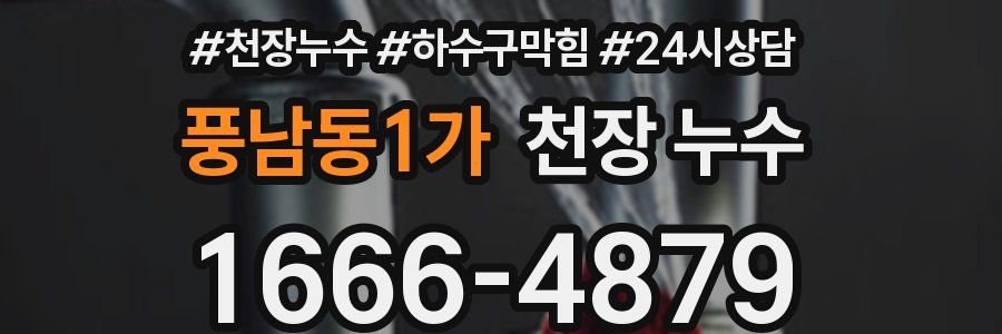 풍남동1가 천장 누수