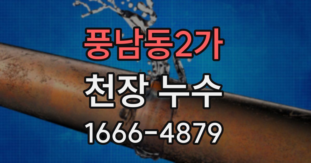 풍남동2가 천장 누수
