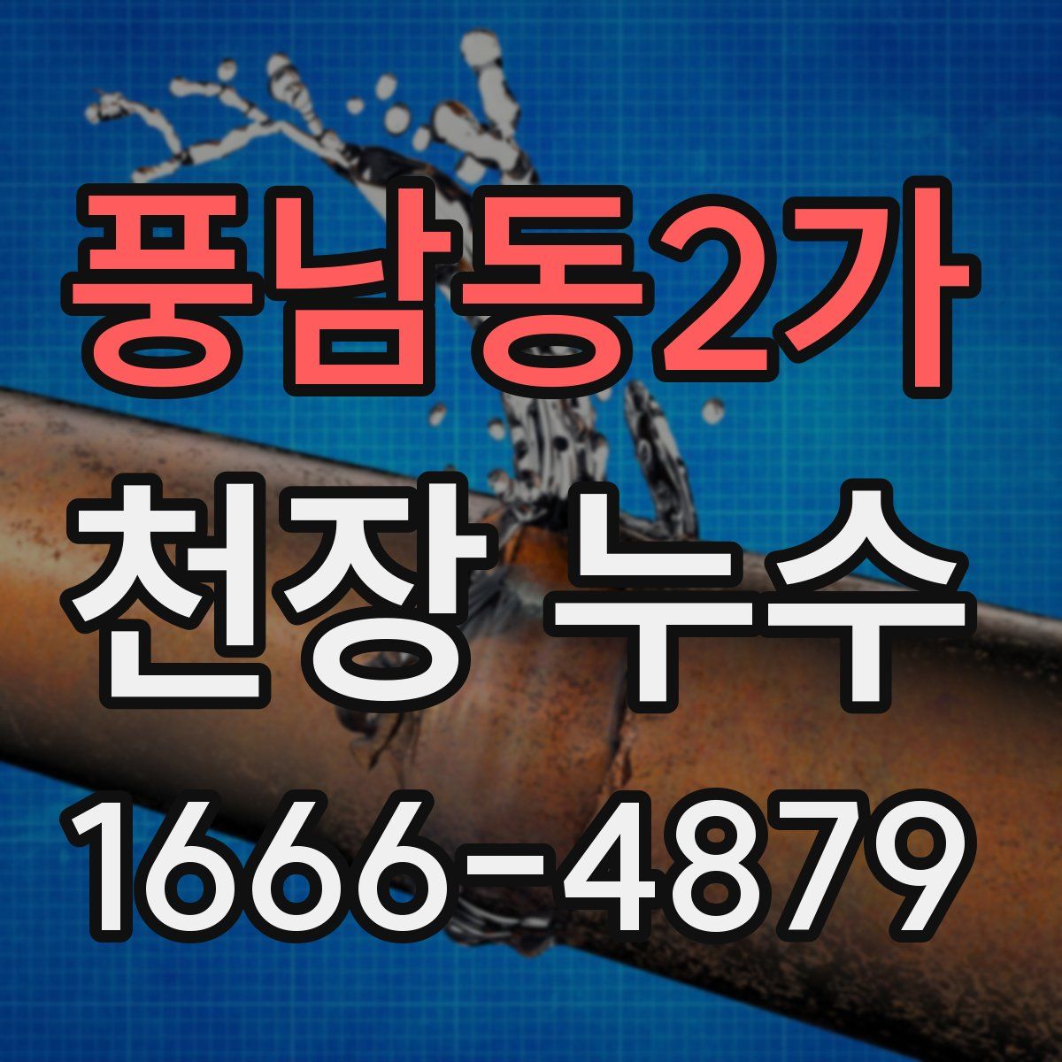 풍남동2가 천장 누수