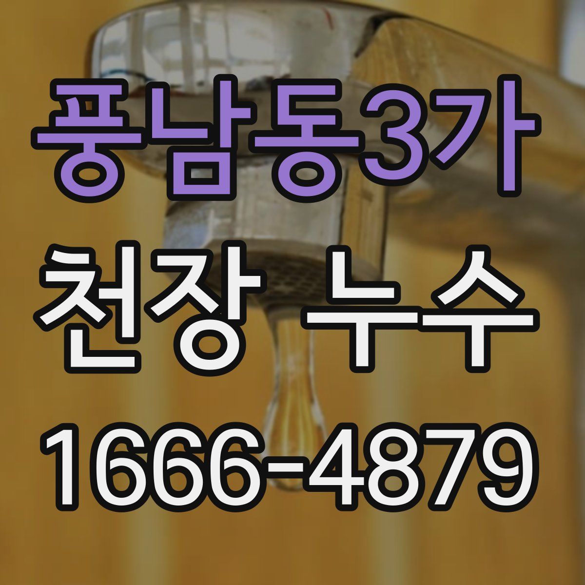 풍남동3가 천장 누수