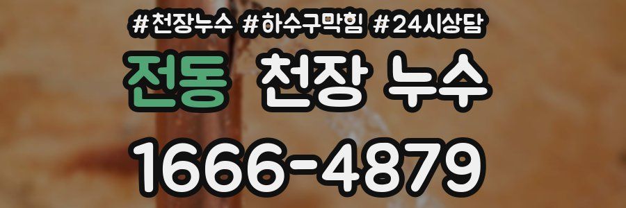 전동 천장 누수