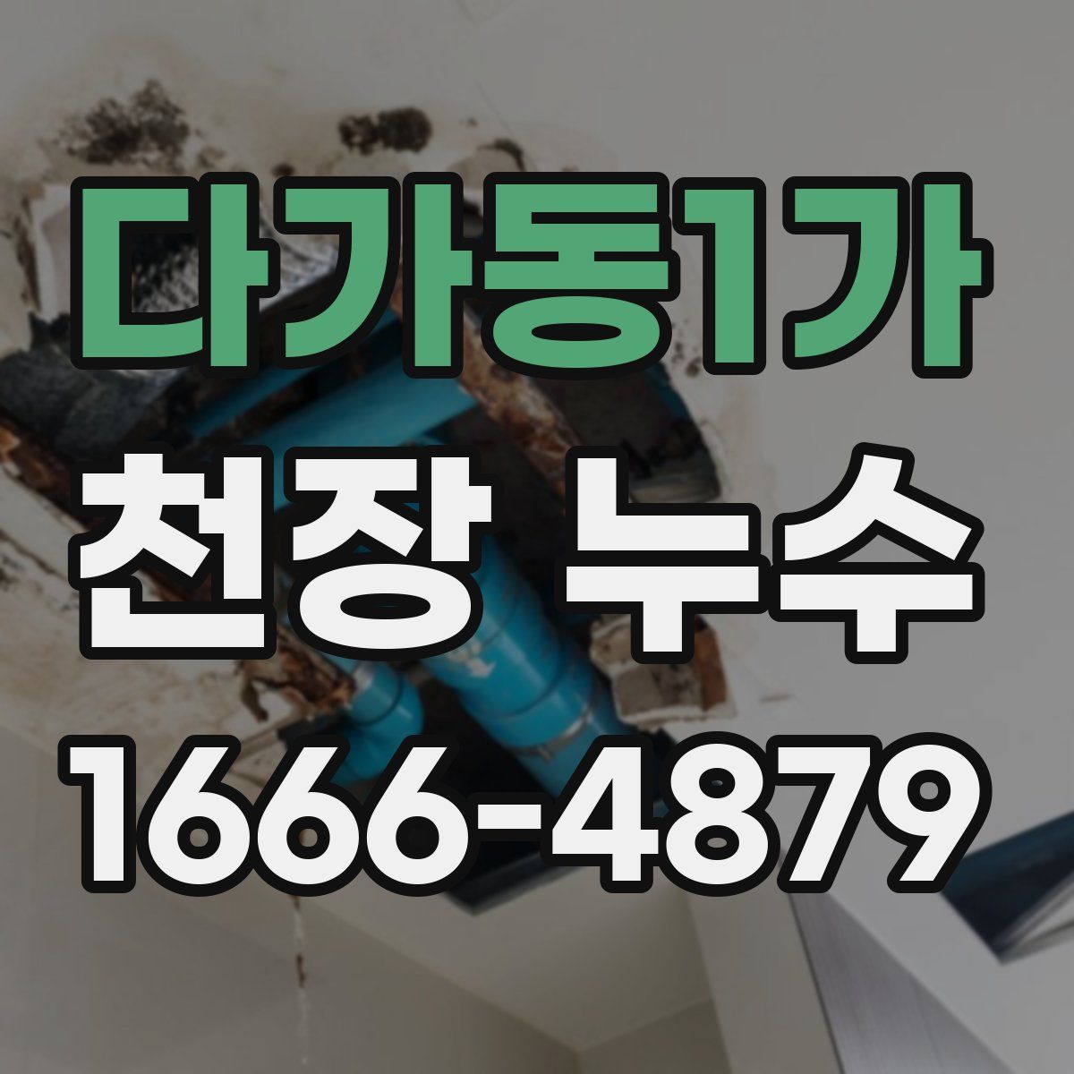다가동1가 천장 누수