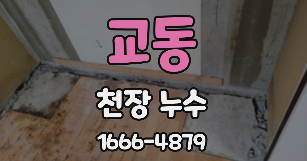 교동 천장 누수