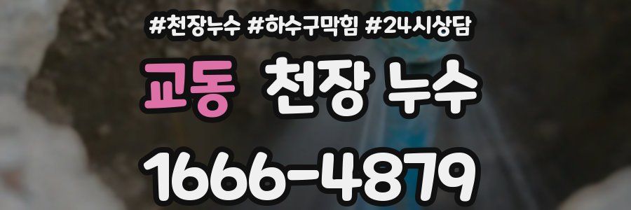 교동 천장 누수