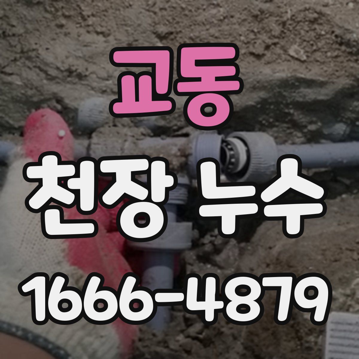 교동 천장 누수