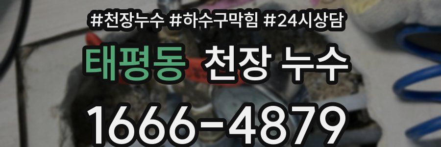 태평동 천장 누수