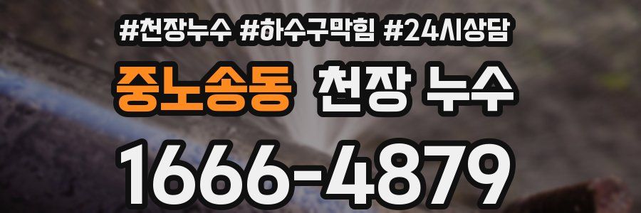 중노송동 천장 누수