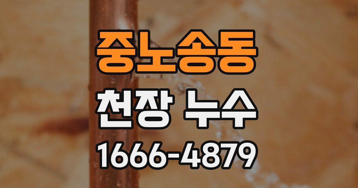 중노송동 천장 누수