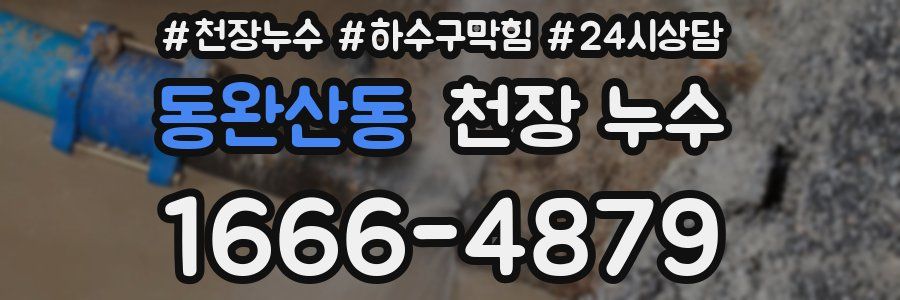 동완산동 천장 누수