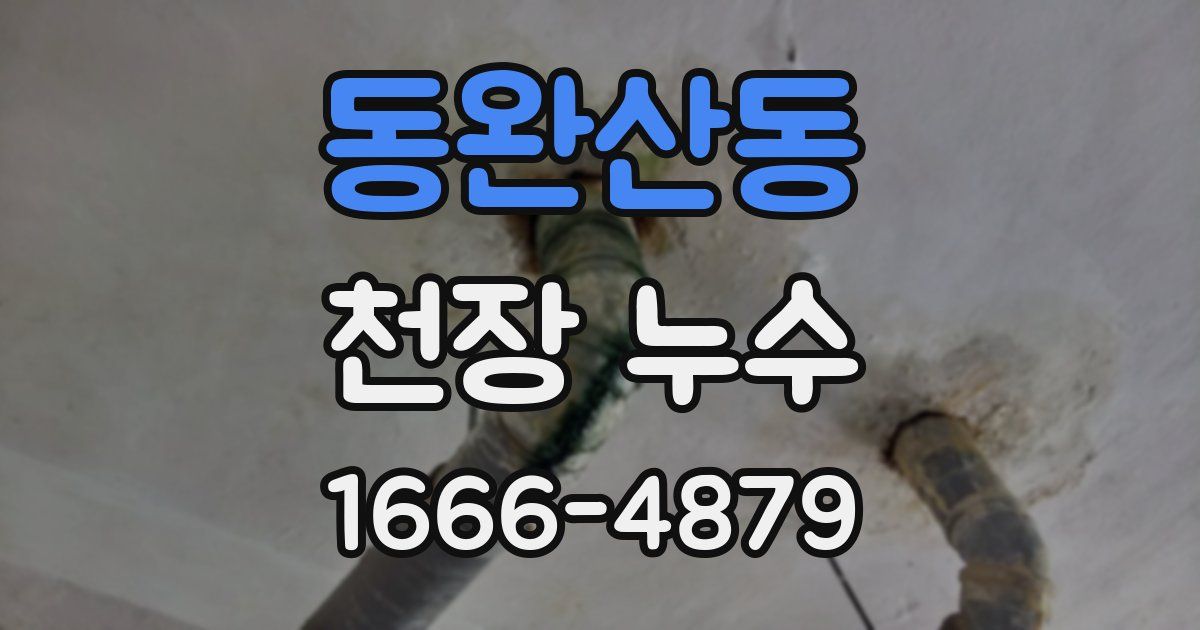 동완산동 천장 누수