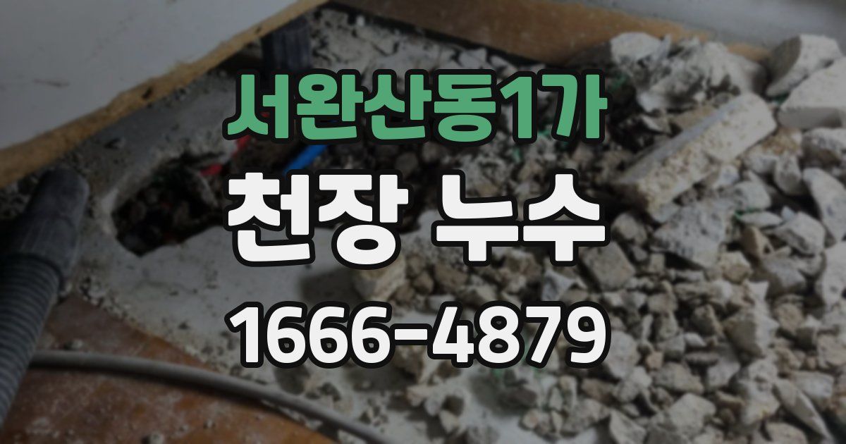 서완산동1가 천장 누수