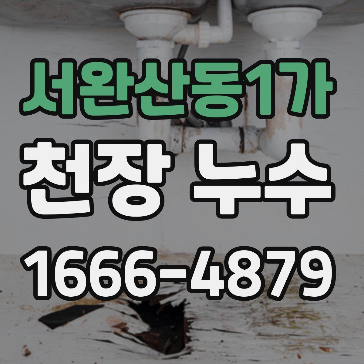 서완산동1가 천장 누수
