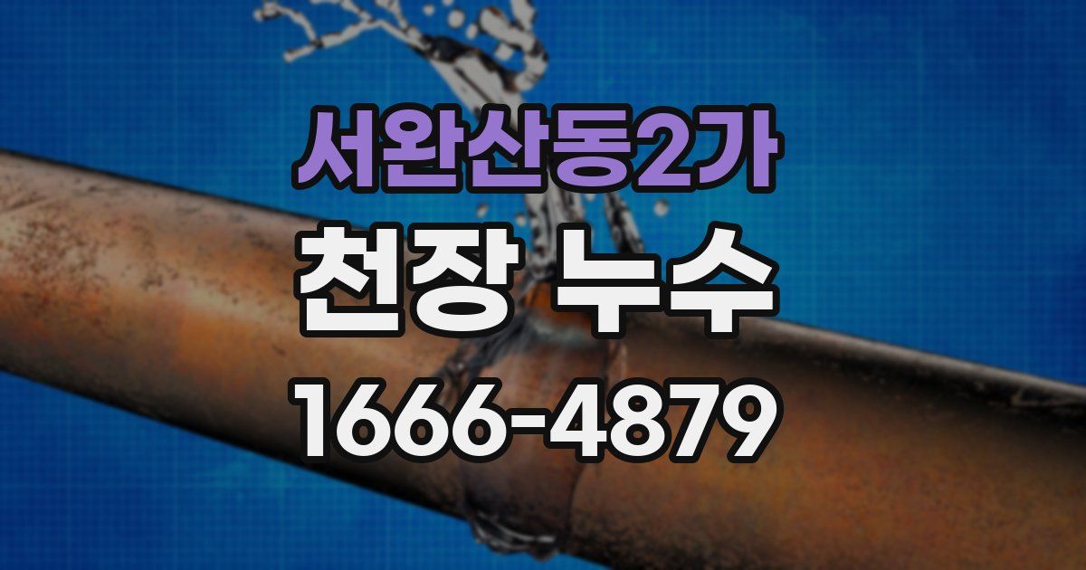 서완산동2가 천장 누수