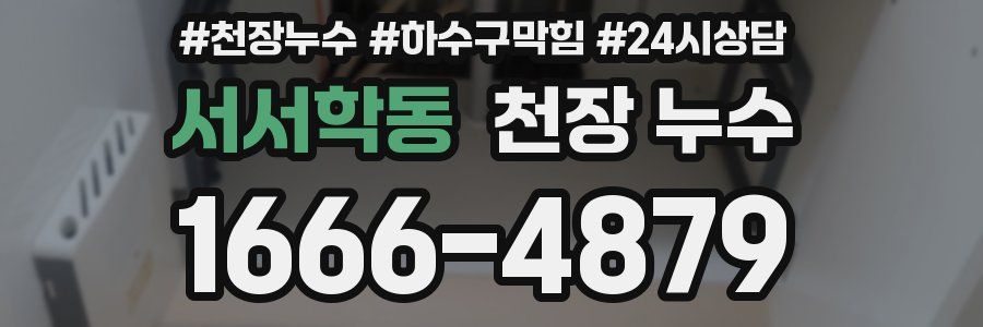 서서학동 천장 누수