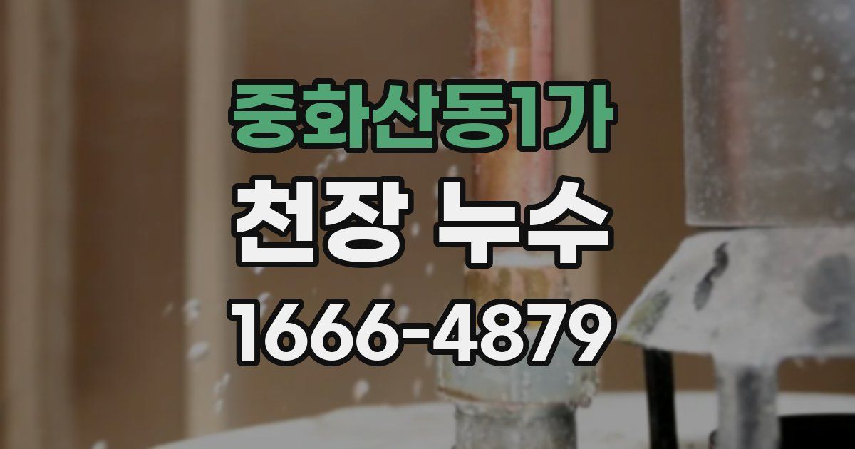 중화산동1가 천장 누수