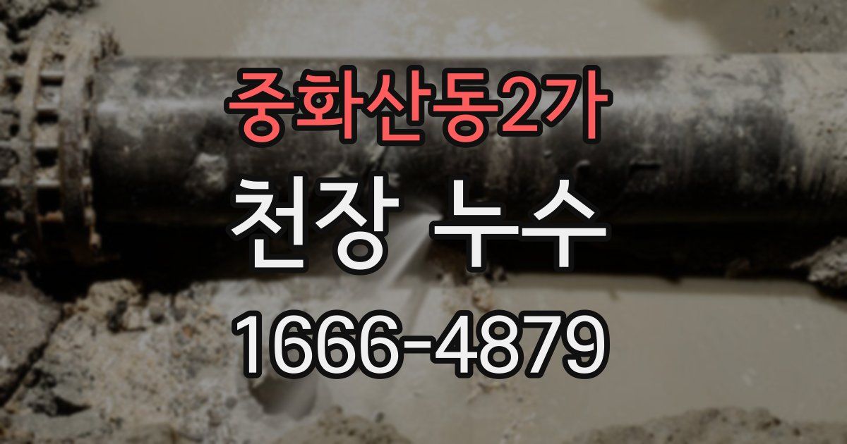 중화산동2가 천장 누수