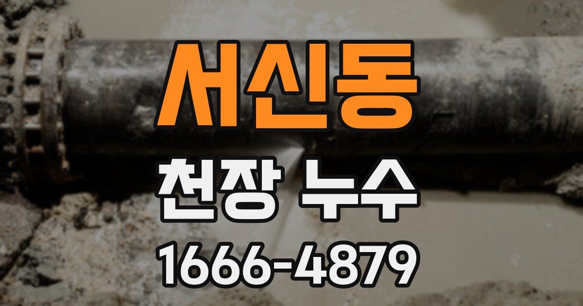 서신동 천장 누수