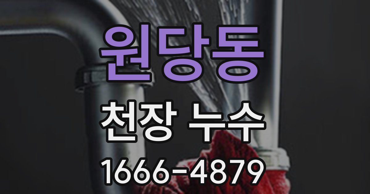 원당동 천장 누수