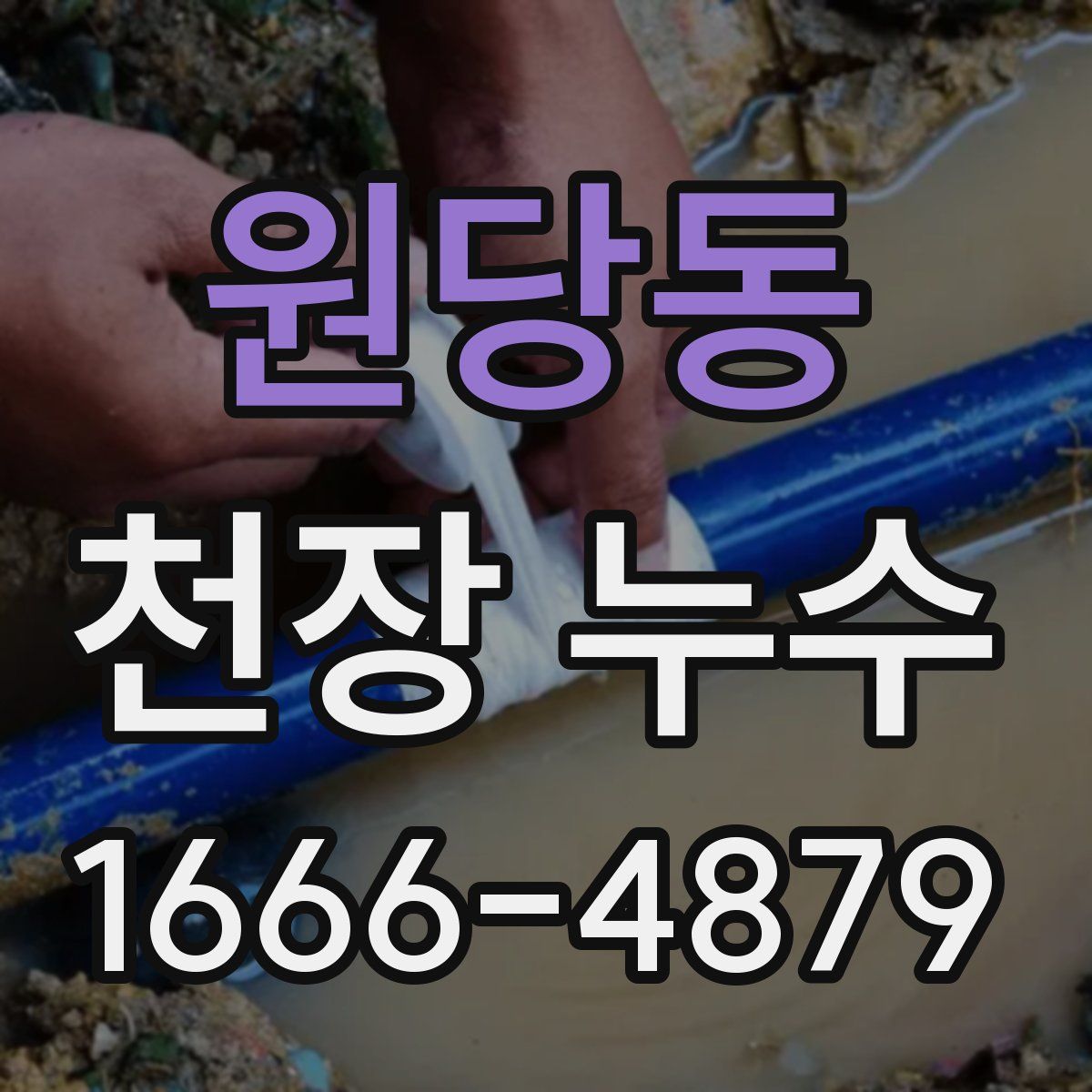 원당동 천장 누수