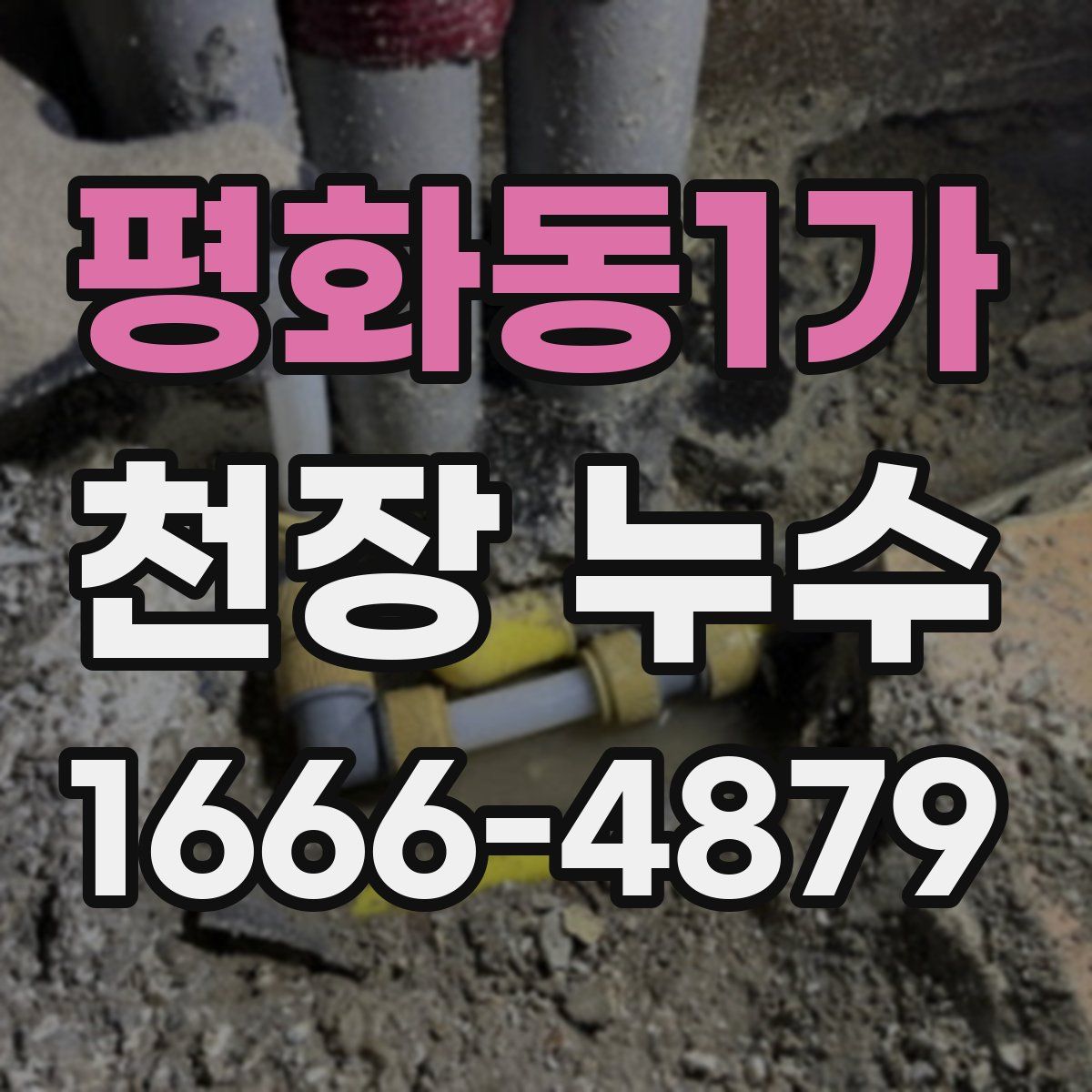 평화동1가 천장 누수