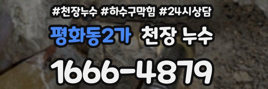 평화동2가 천장 누수